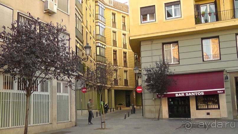 Мадрид. Вы прекрасны, мой король!