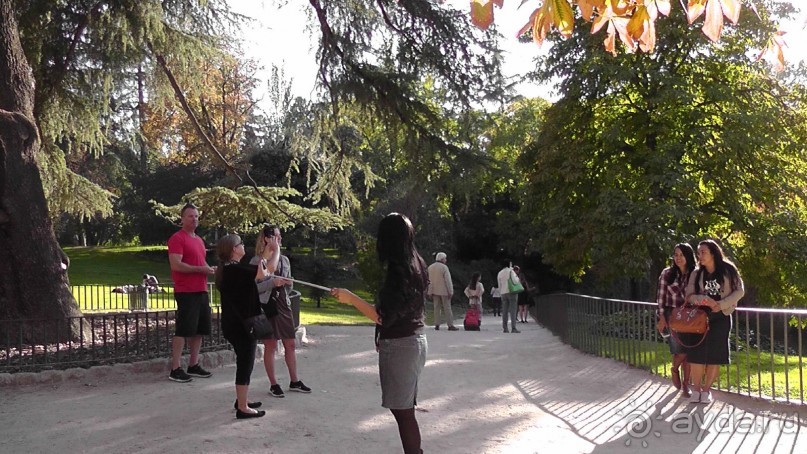 Мадрид. Вы прекрасны, мой король!