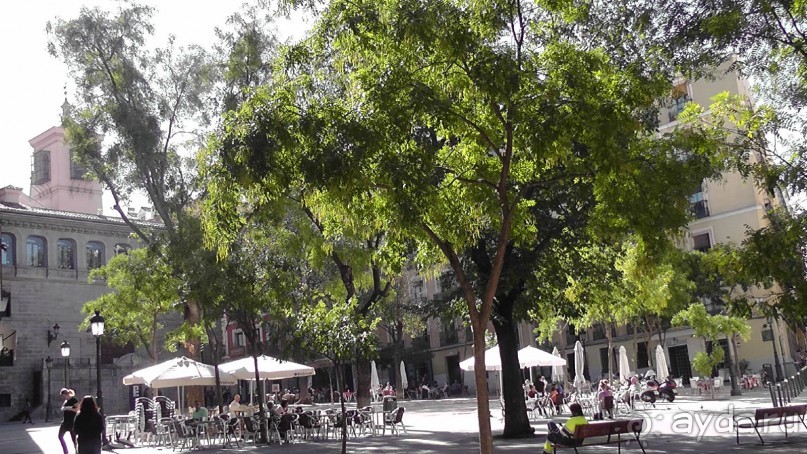 Мадрид. Вы прекрасны, мой король!