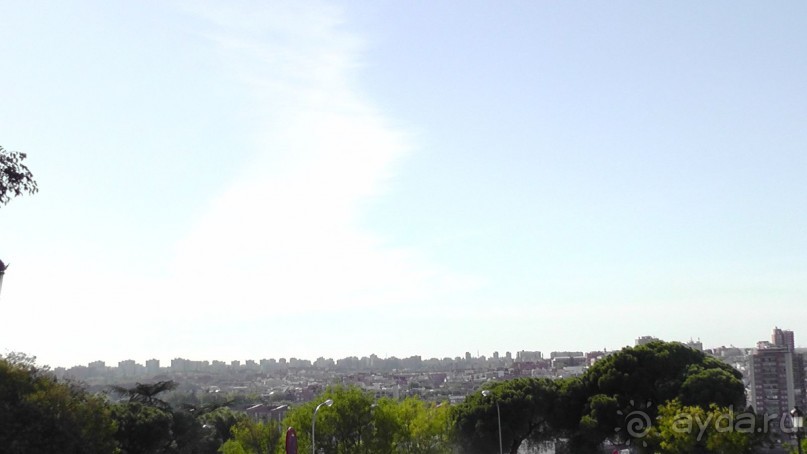 Мадрид. Вы прекрасны, мой король!