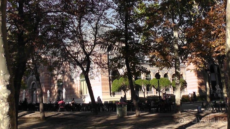 Мадрид. Вы прекрасны, мой король!