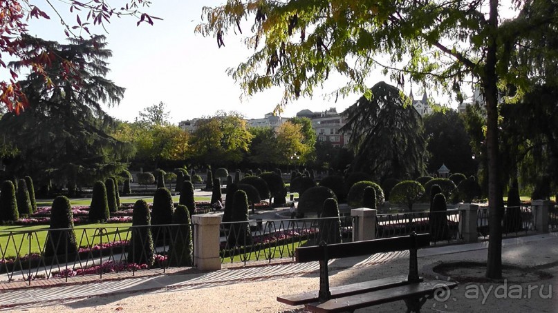 Мадрид. Вы прекрасны, мой король!