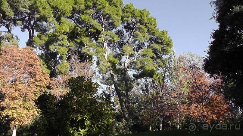 Мадрид. Вы прекрасны, мой король!