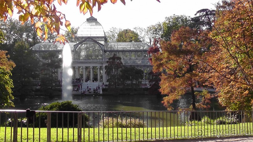 Мадрид. Вы прекрасны, мой король!