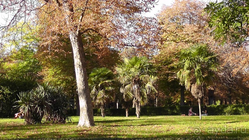 Мадрид. Вы прекрасны, мой король!