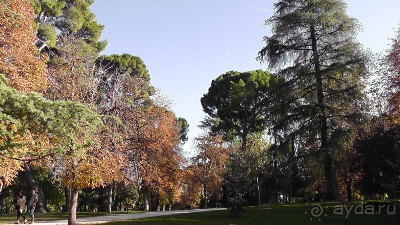 Мадрид. Вы прекрасны, мой король!