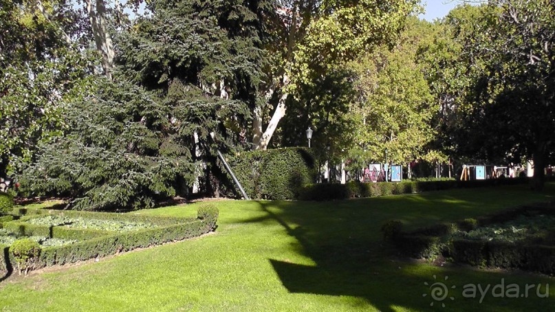 Мадрид. Вы прекрасны, мой король!