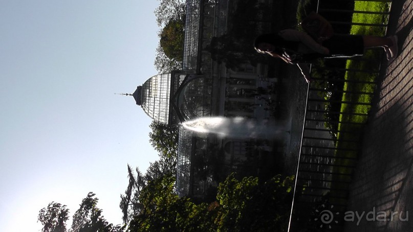 Мадрид. Вы прекрасны, мой король!