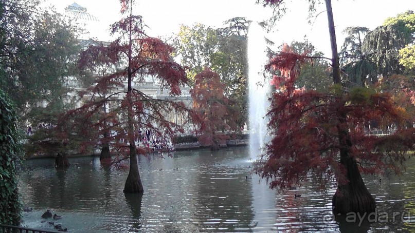 Мадрид. Вы прекрасны, мой король!