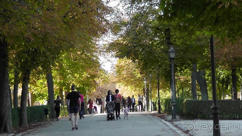 Мадрид. Вы прекрасны, мой король!