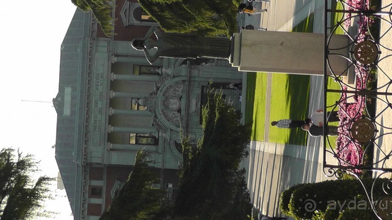 Мадрид. Вы прекрасны, мой король!