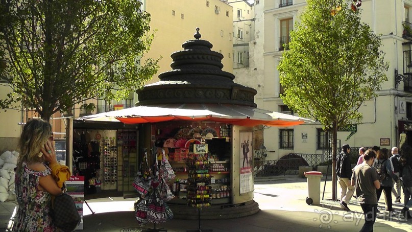 Мадрид. Вы прекрасны, мой король!