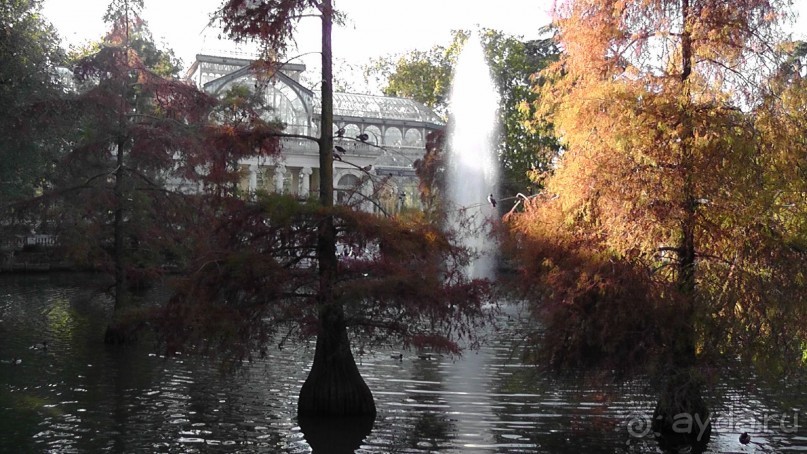 Мадрид. Вы прекрасны, мой король!