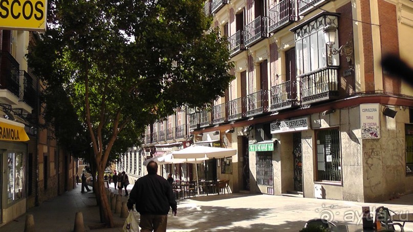 Мадрид. Вы прекрасны, мой король!