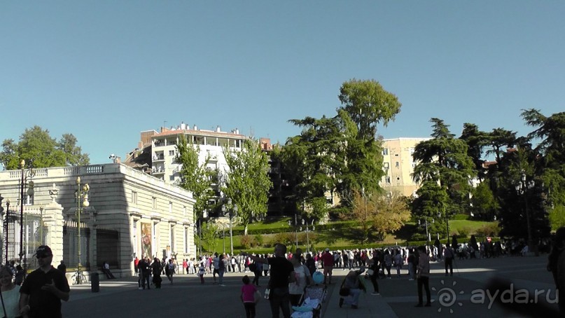 Мадрид. Вы прекрасны, мой король!