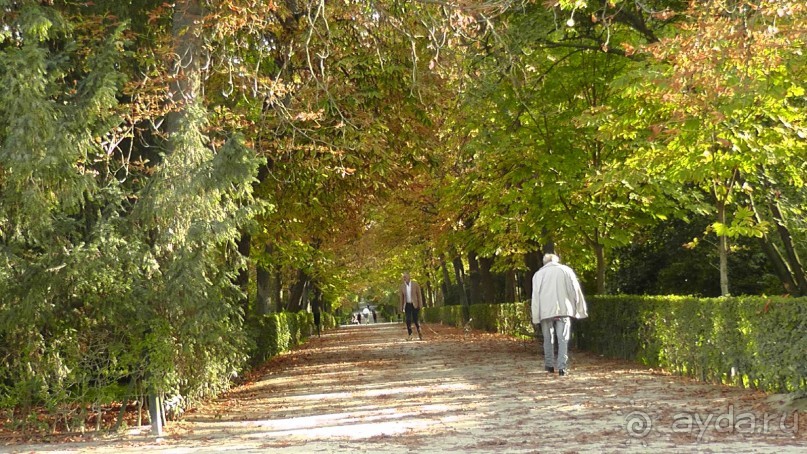 Мадрид. Вы прекрасны, мой король!