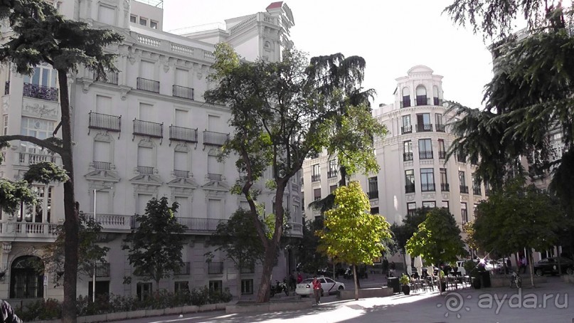 Мадрид. Вы прекрасны, мой король!