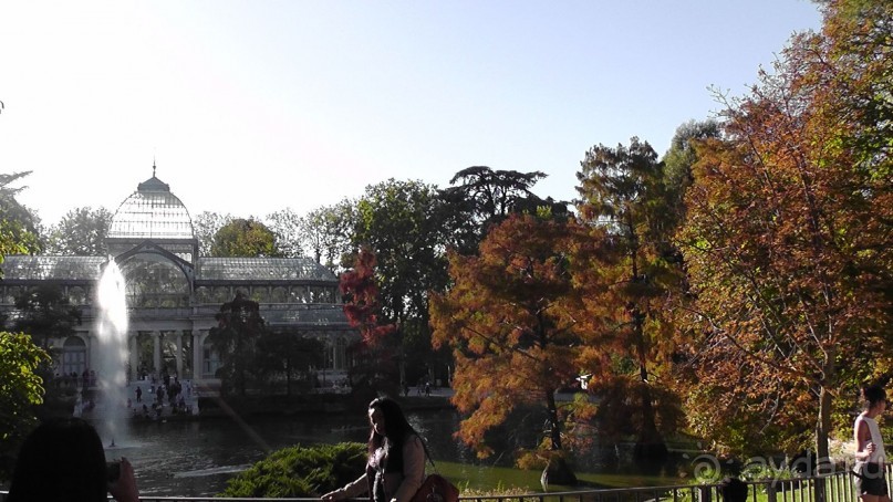 Мадрид. Вы прекрасны, мой король!