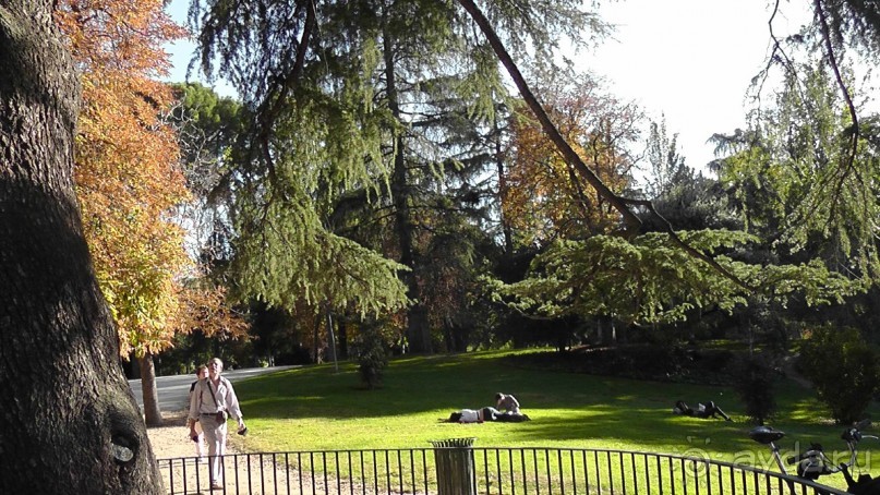 Мадрид. Вы прекрасны, мой король!