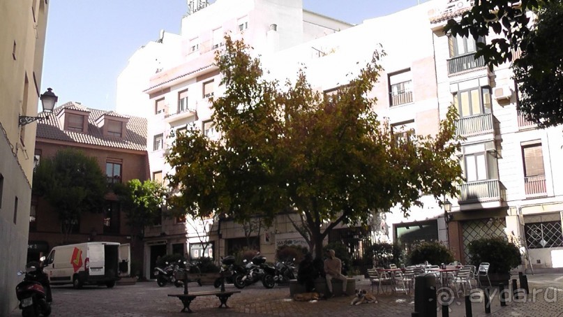 Мадрид. Вы прекрасны, мой король!