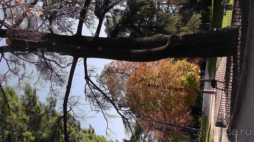 Мадрид. Вы прекрасны, мой король!