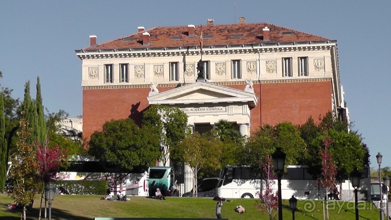 Мадрид. Вы прекрасны, мой король!