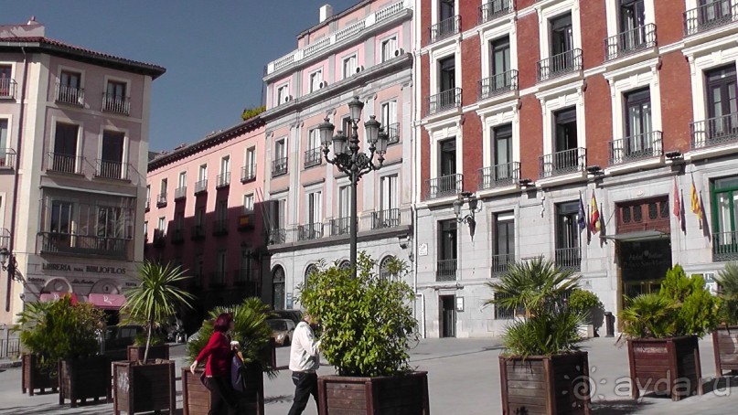 Мадрид. Вы прекрасны, мой король!