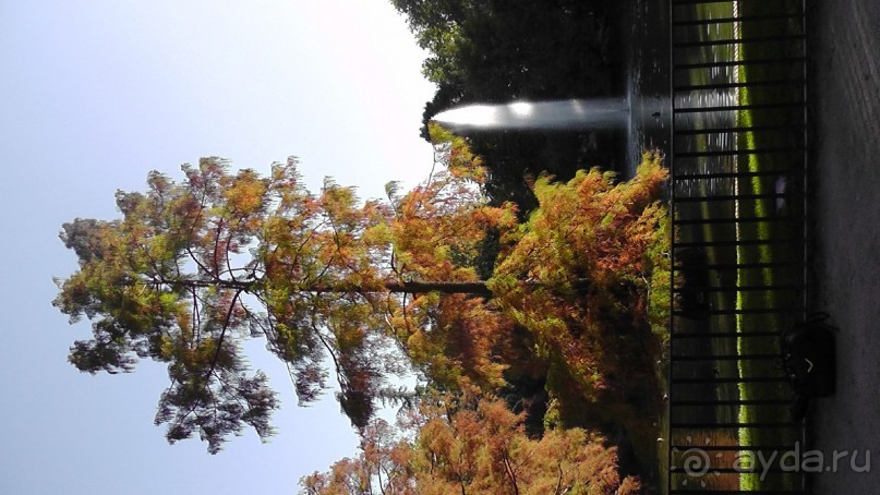 Мадрид. Вы прекрасны, мой король!