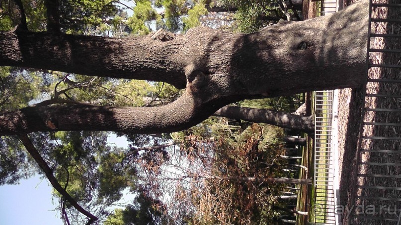 Мадрид. Вы прекрасны, мой король!