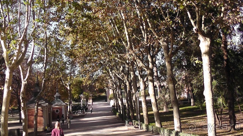 Мадрид. Вы прекрасны, мой король!