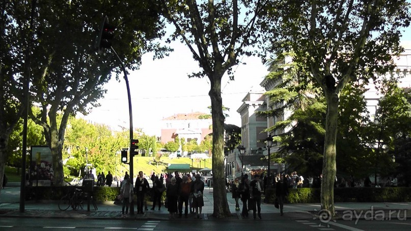 Мадрид. Вы прекрасны, мой король!