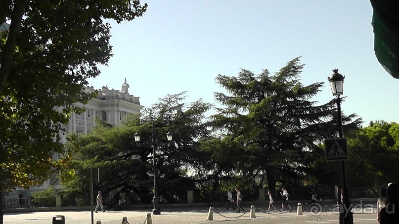 Мадрид. Вы прекрасны, мой король!