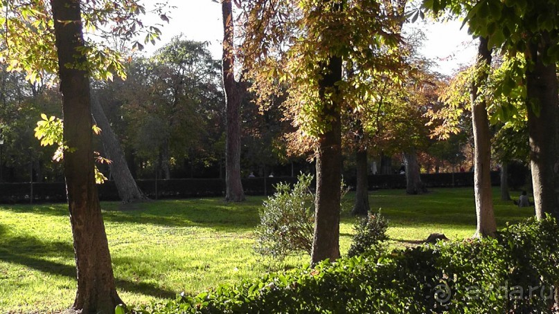 Мадрид. Вы прекрасны, мой король!