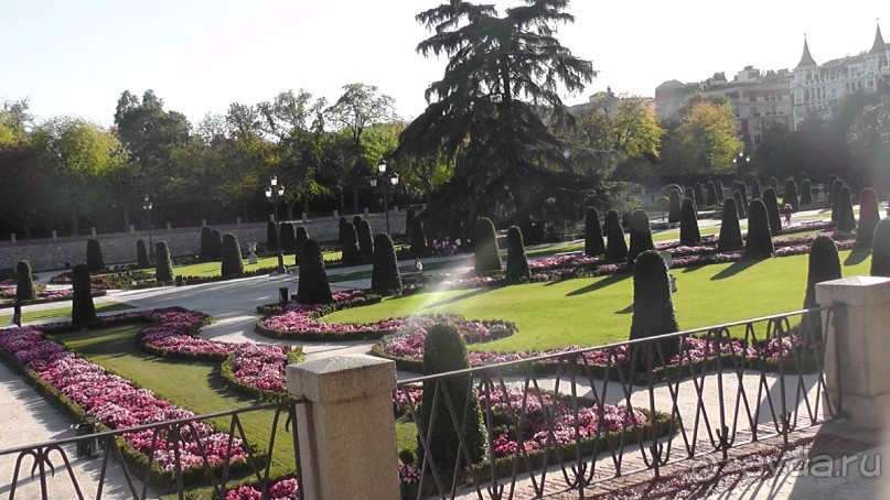 Мадрид. Вы прекрасны, мой король!