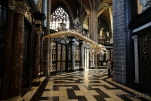 Гент, Бельгия. «Гулять, так гулять!». Город Синей птицы - центр.