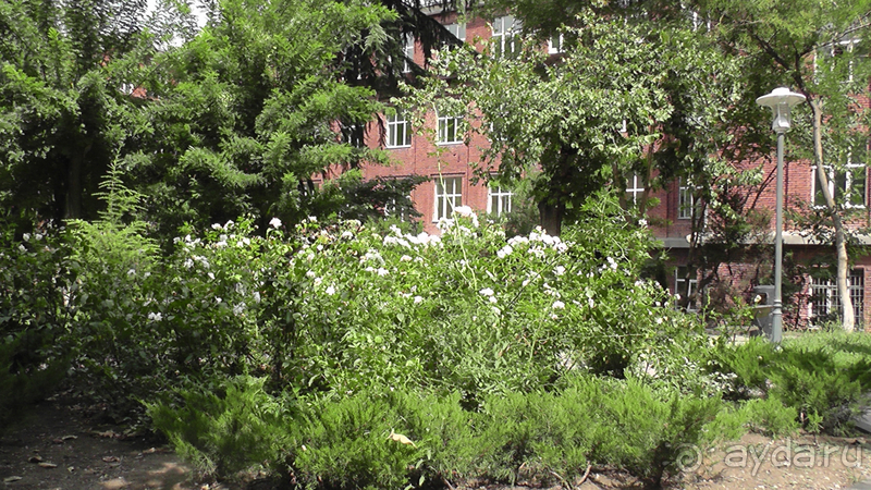 Грузия, Тбилиси. Попала в Грузию в карантин и я попала…Малоизвестные скверы, храм Тбилиси.