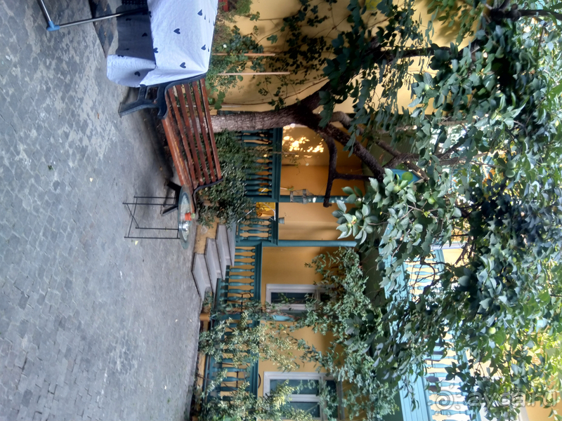 Грузия, Тбилиси. Попала в Грузию в карантин и я попала…Малоизвестные скверы, храм Тбилиси.