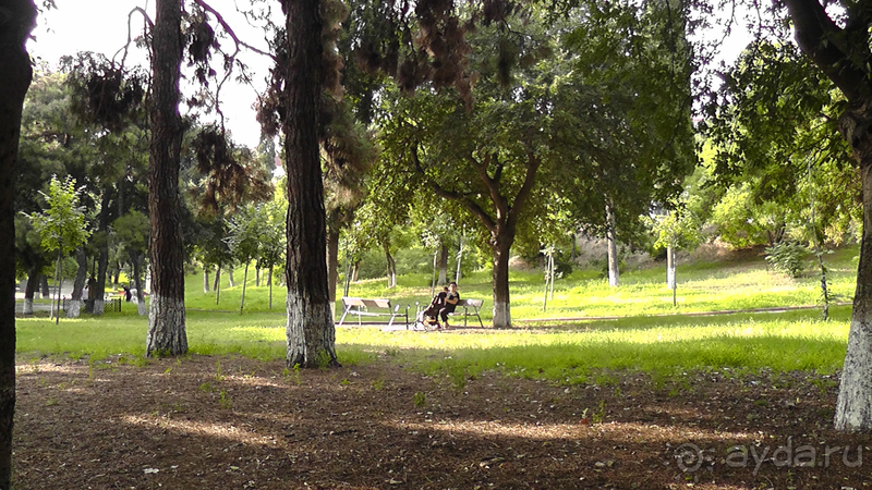 Грузия, Тбилиси. Попала в Грузию в карантин и я попала…Малоизвестные скверы, храм Тбилиси.