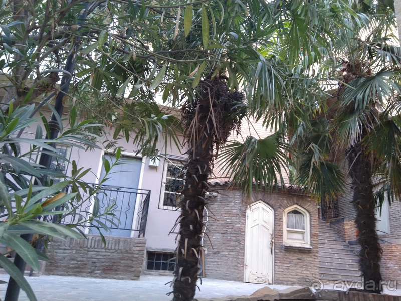 Грузия, Тбилиси. Попала в Грузию в карантин и я попала…Малоизвестные скверы, храм Тбилиси.