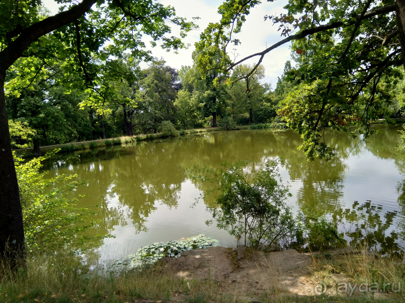 Дрезден, Германия. Парк замка Пильниц.