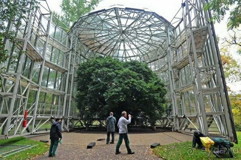 Дрезден, Германия. Парк замка Пильниц.