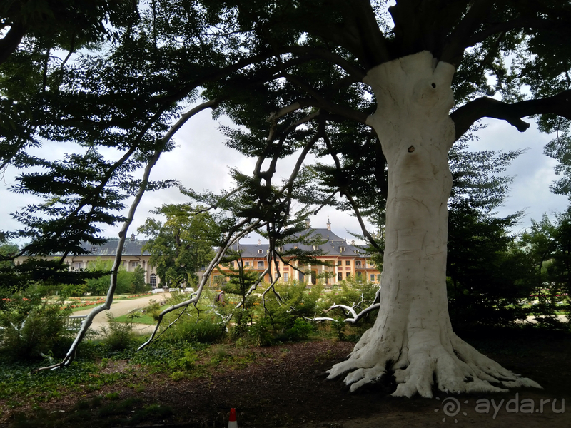 Дрезден, Германия. Парк замка Пильниц.