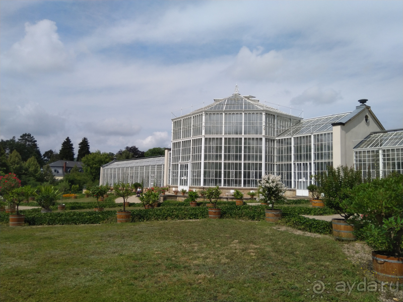 Дрезден, Германия. Парк замка Пильниц.