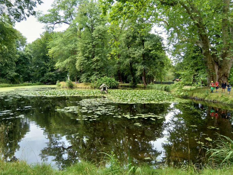 Дрезден, Германия. Парк замка Пильниц.