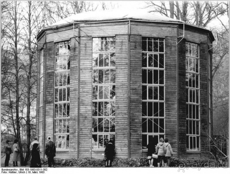 Дрезден, Германия. Парк замка Пильниц.