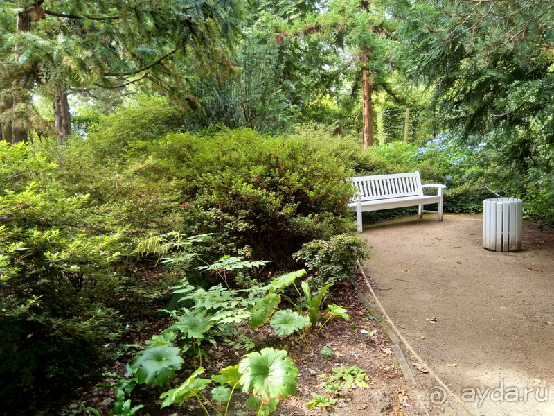 Дрезден, Германия. Парк замка Пильниц.