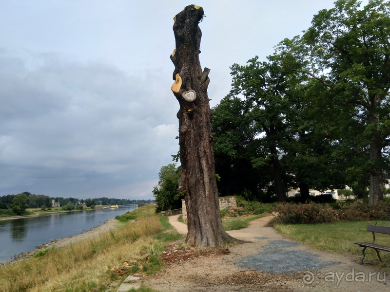 Дрезден, Германия. Парк замка Пильниц.