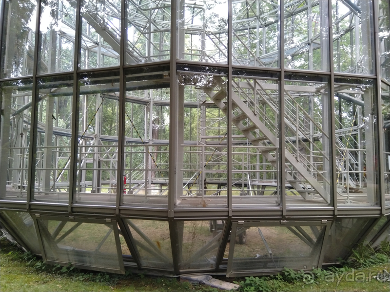 Дрезден, Германия. Парк замка Пильниц.