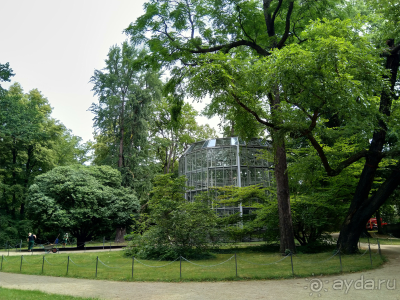 Дрезден, Германия. Парк замка Пильниц.