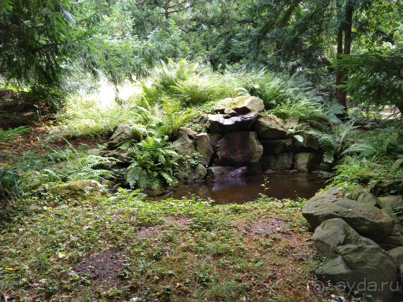 Дрезден, Германия. Парк замка Пильниц.